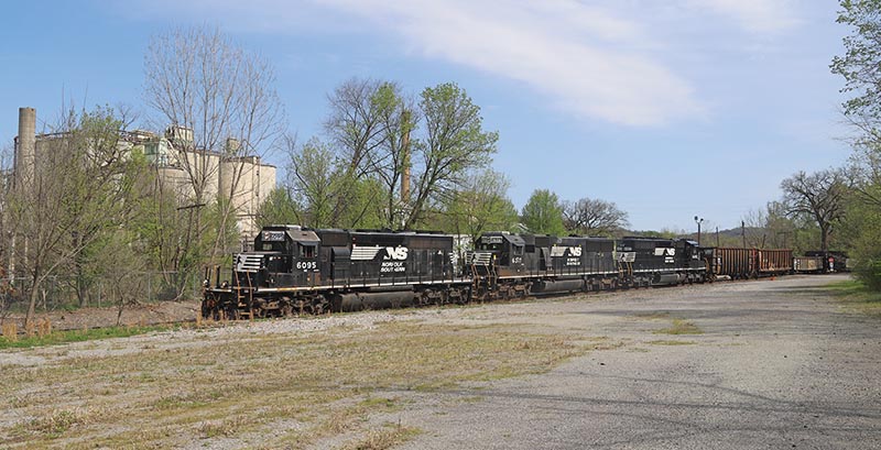 All in the NS Family