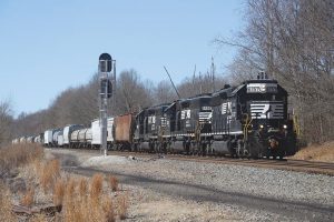 All in the NS Family